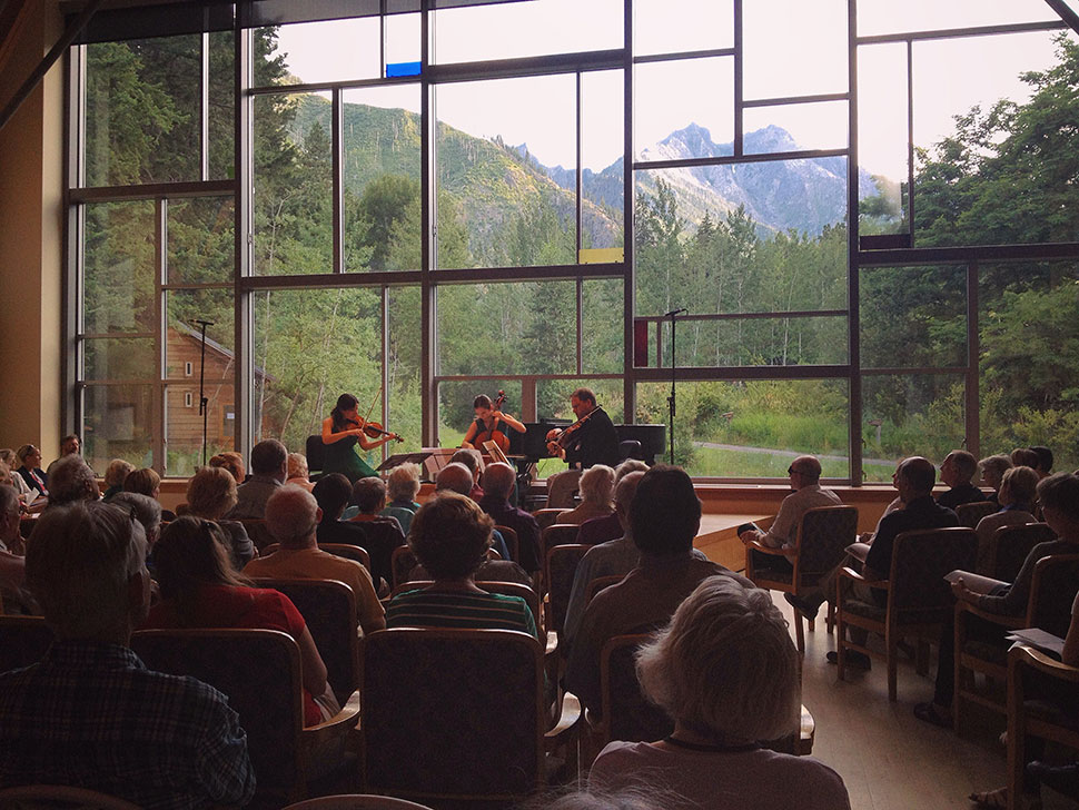 canyon-wren-audience