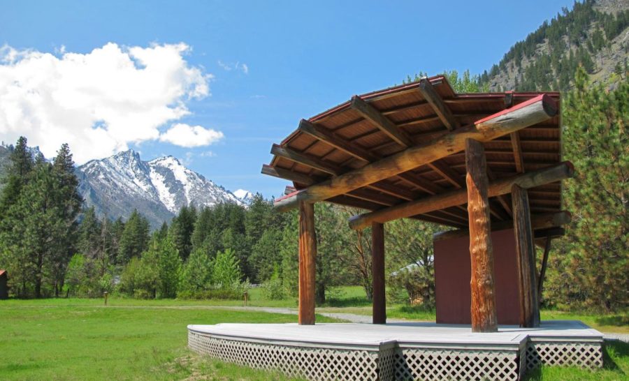 meadow_stage_2